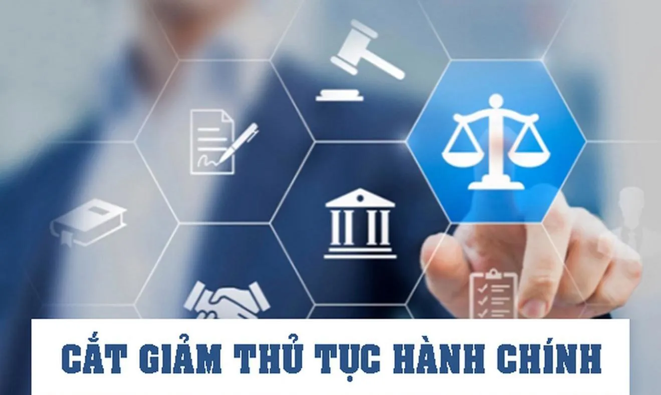 Chính phủ ban hành 8 Nghị quyết, bãi bỏ 184 thủ tục hành chính, 890 điều kiện kinh doanh