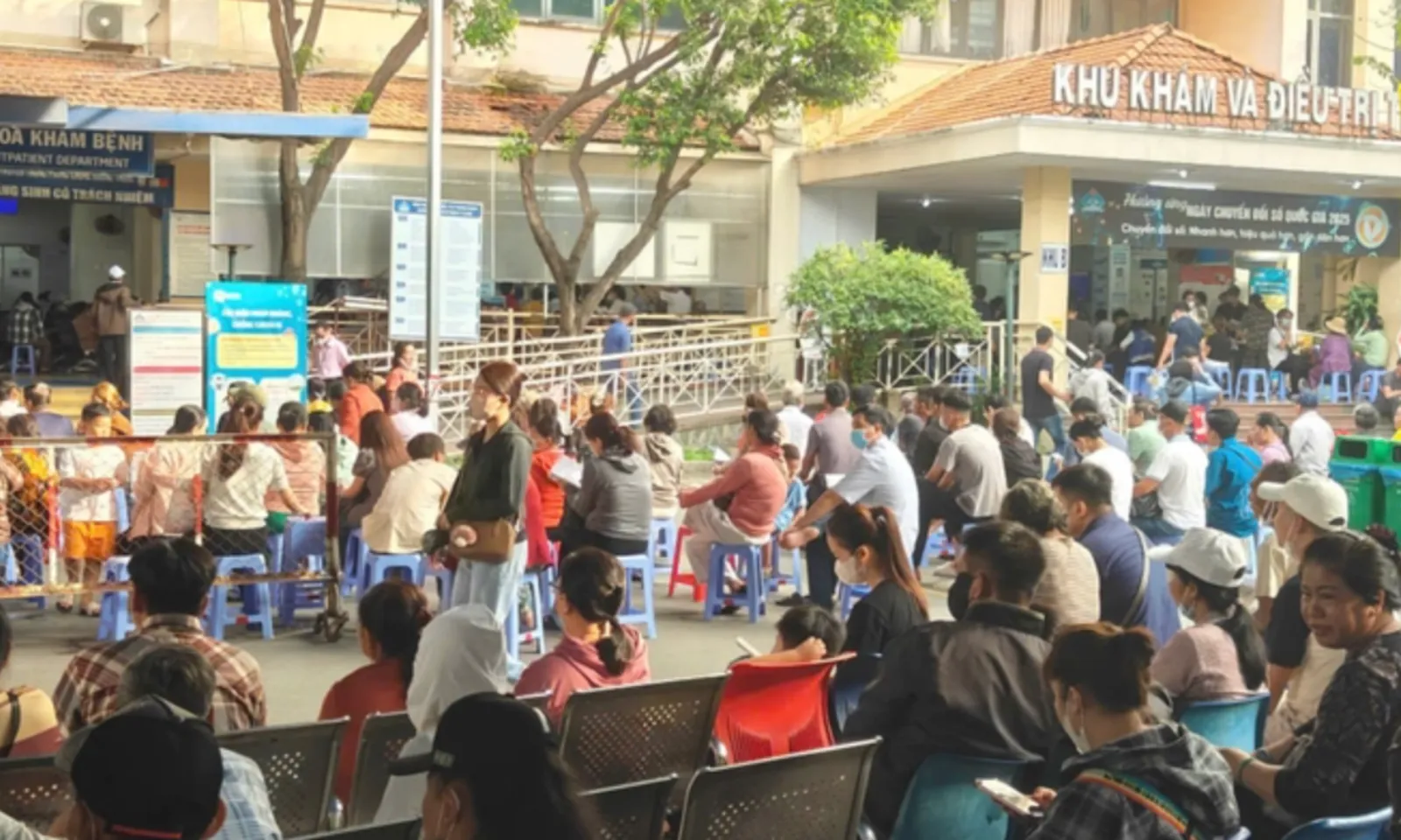 Bản sao của thumb liên cầu lợn