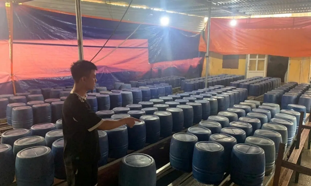 Quảng Ninh thu giữ gần 2 tấn giá đỗ tẩm hóa chất cấm