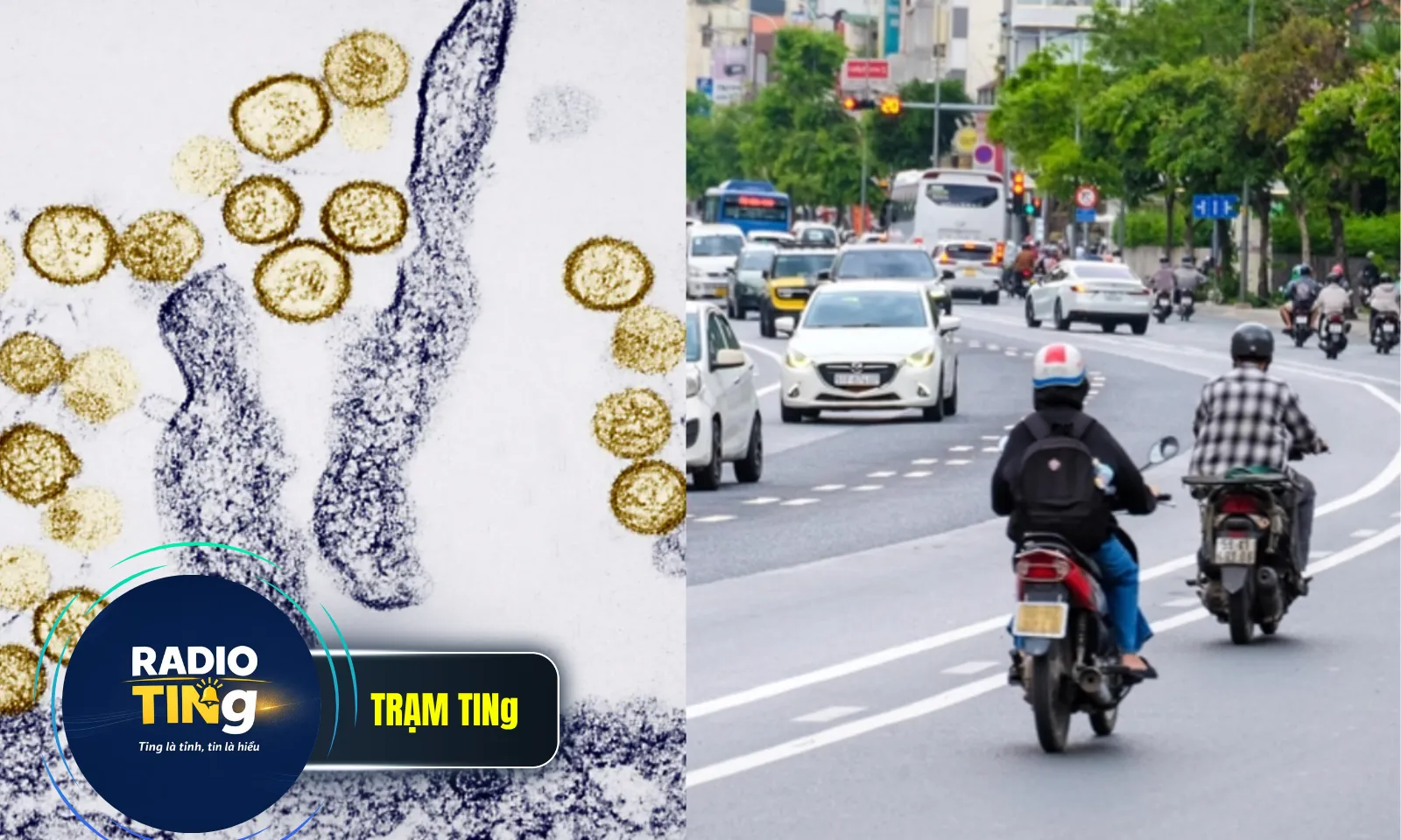 Điểm tin sáng 6/5: Bộ Y tế thông tin về virus Hanta | Đường Cộng Hòa tổ chức làn đảo chiều từ 15/5