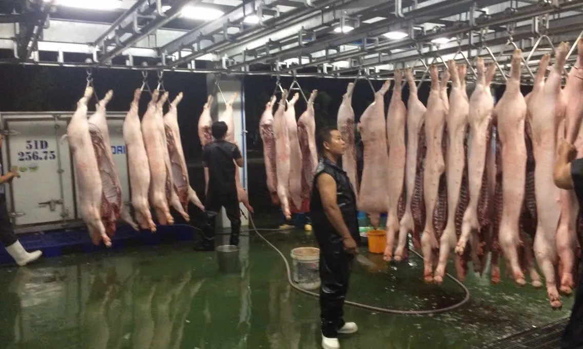 Chủ động ngăn dịch bệnh lở mồm long móng Sat 1 xâm nhập vào Việt Nam