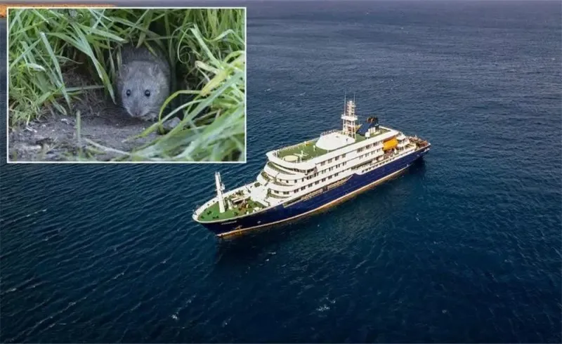 Hantavirus
