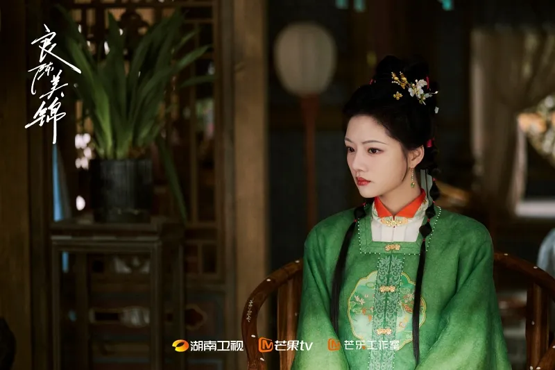  voh-ly-do-khien-luong-tran-my-cam-1