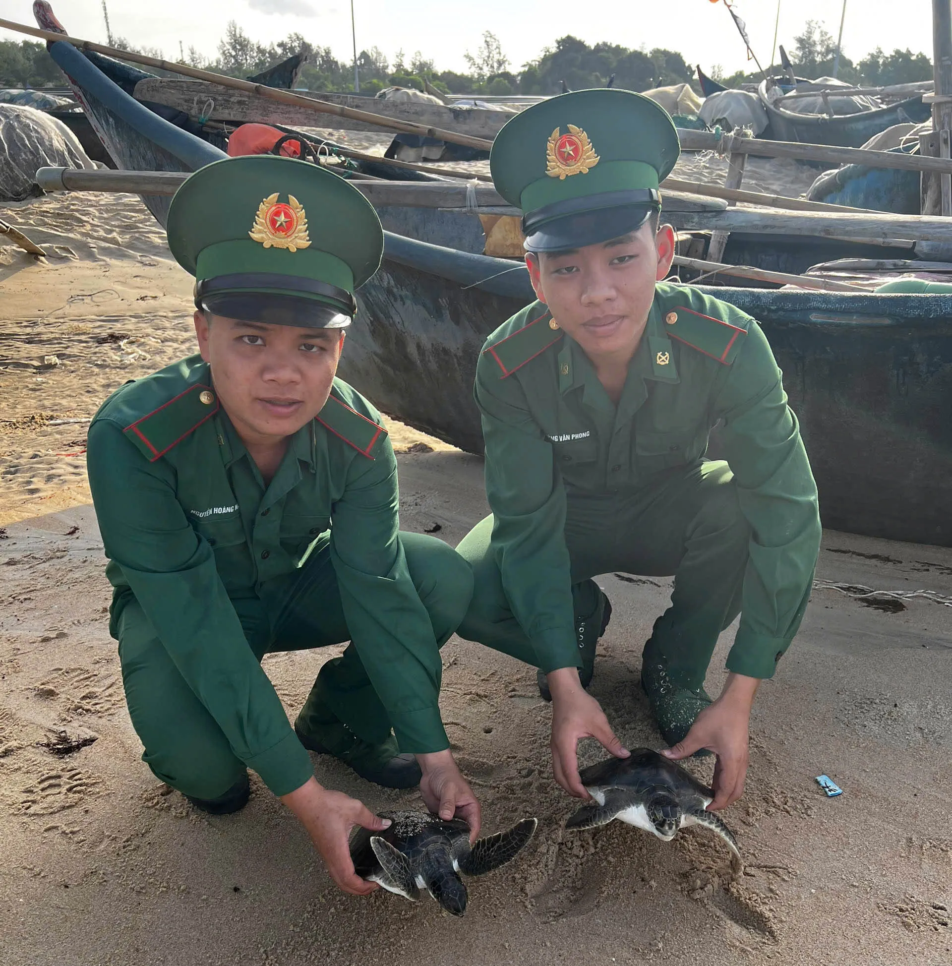 ANH 1