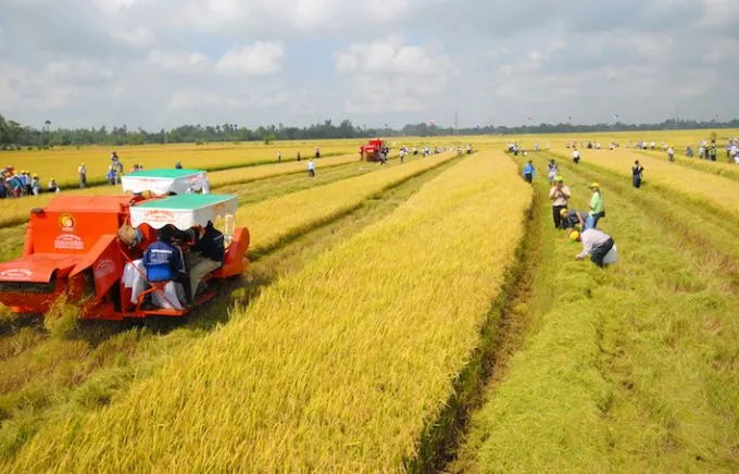 cac-truong-hop-duoc-mien-giam-thue-su-dung-dat-nong-nghiep