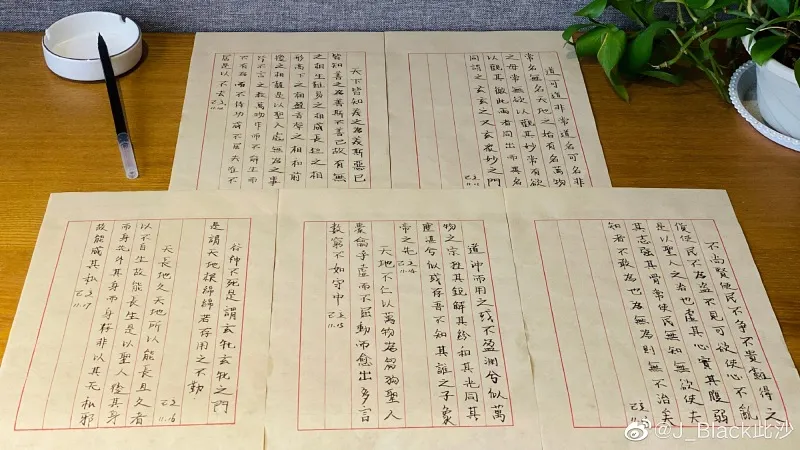 voh-tieu-su-thu-sa-41