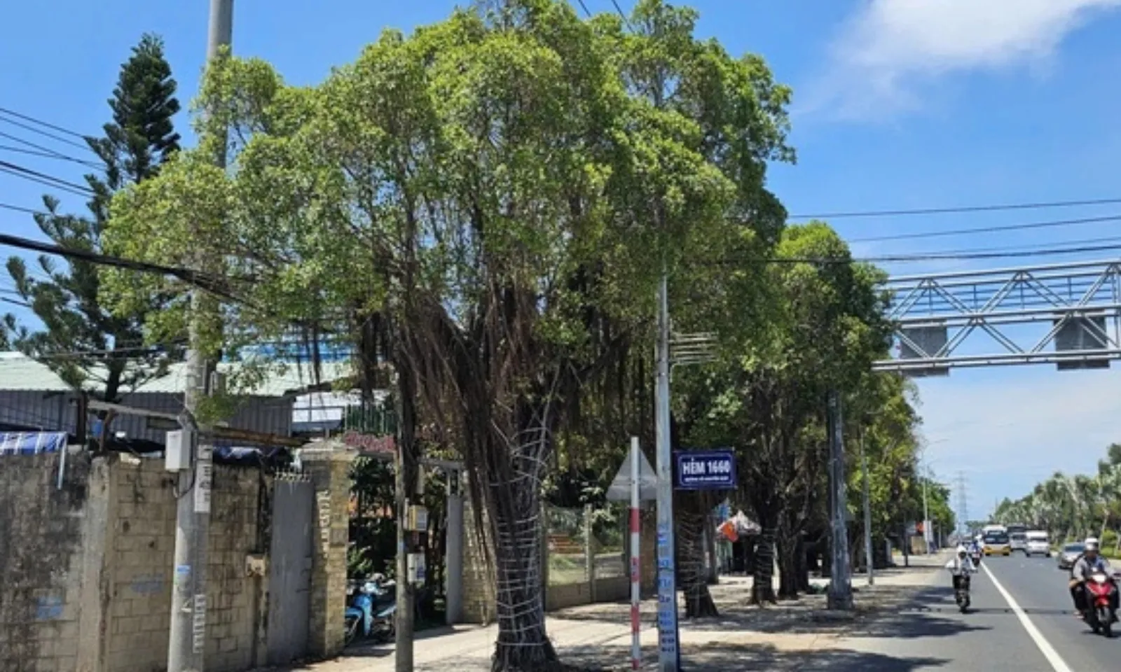 ảnh minh họa + thumb  - 1