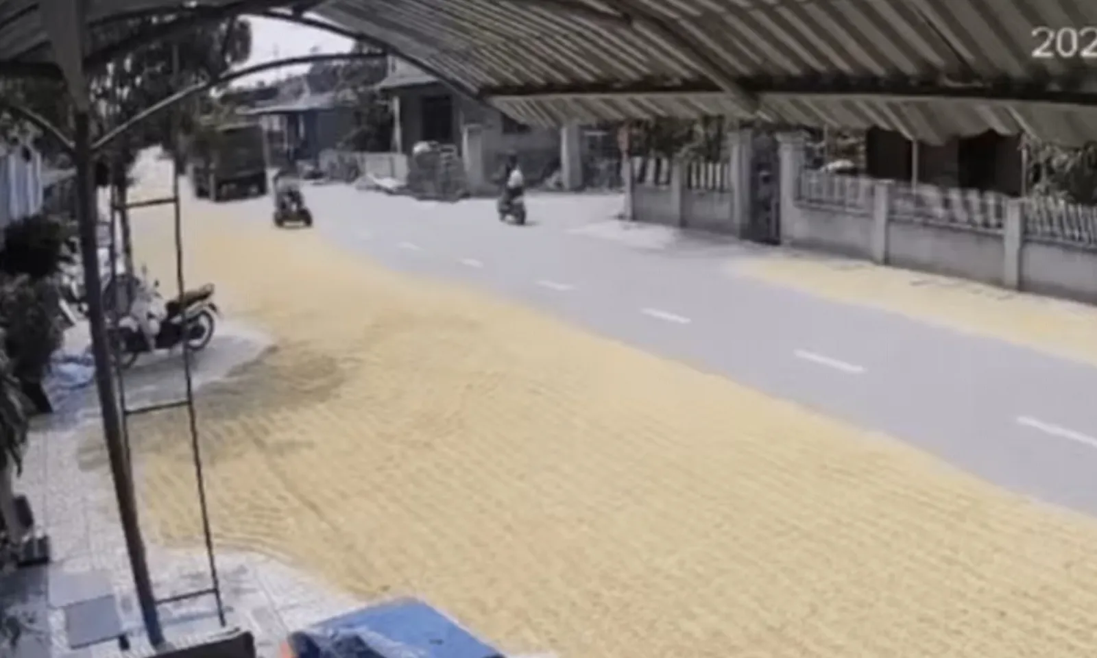 ảnh minh họa + thumb  - 1
