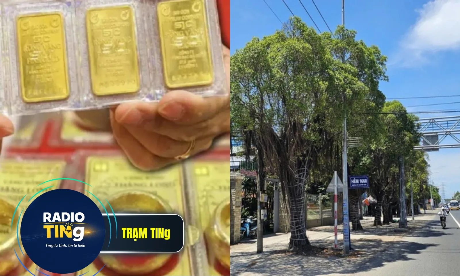 Điểm tin trưa 13/5: Giá vàng giảm sâu | Sắp cưỡng chế, thu hồi khu đất công mua bán giấy tay