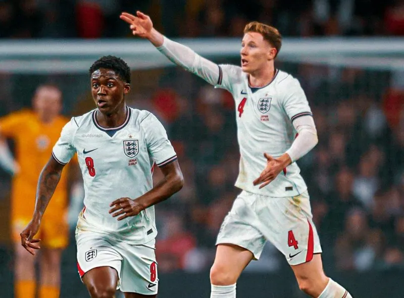 palmer-mu-scholes