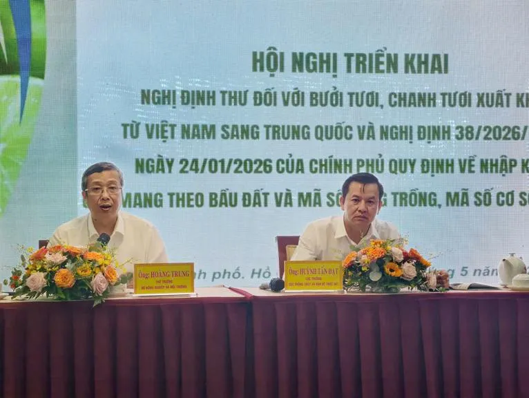 Bưởi tươi, chanh tươi Việt Nam được xuất khẩu sang Trung Quốc: Doanh nghiệp, nông dân mừng