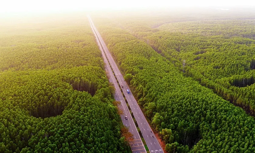 Cần Giờ trên hành trình trở thành “siêu điểm đến” mới của Việt Nam