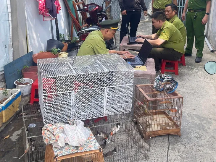 kiem-lam-cung-cap-1778845897564707439393