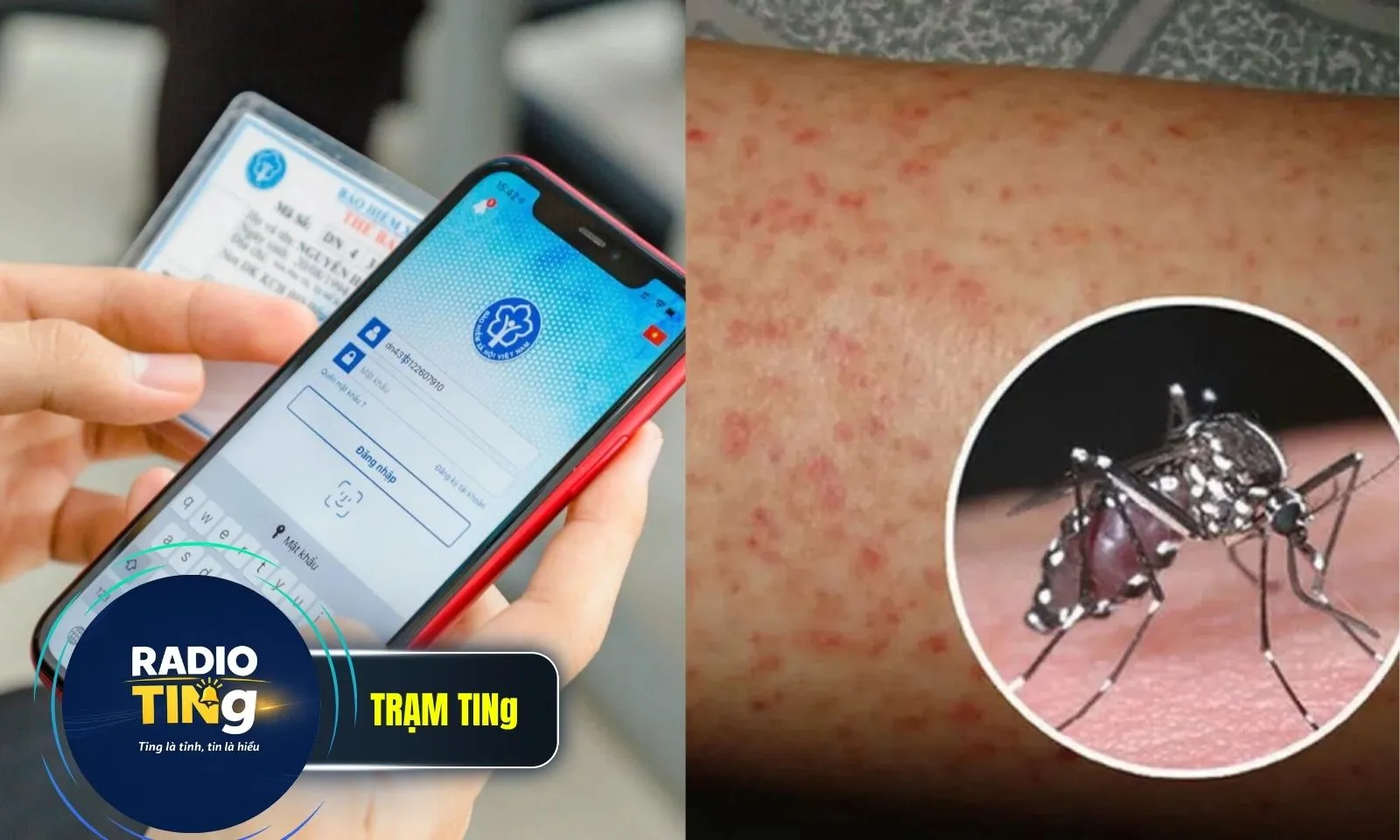 Điểm tin sáng 15/5: Xuất hiện app VssID giả mạo | TPHCM: Cảnh báo tháng 6 cao điểm sốt xuất huyết