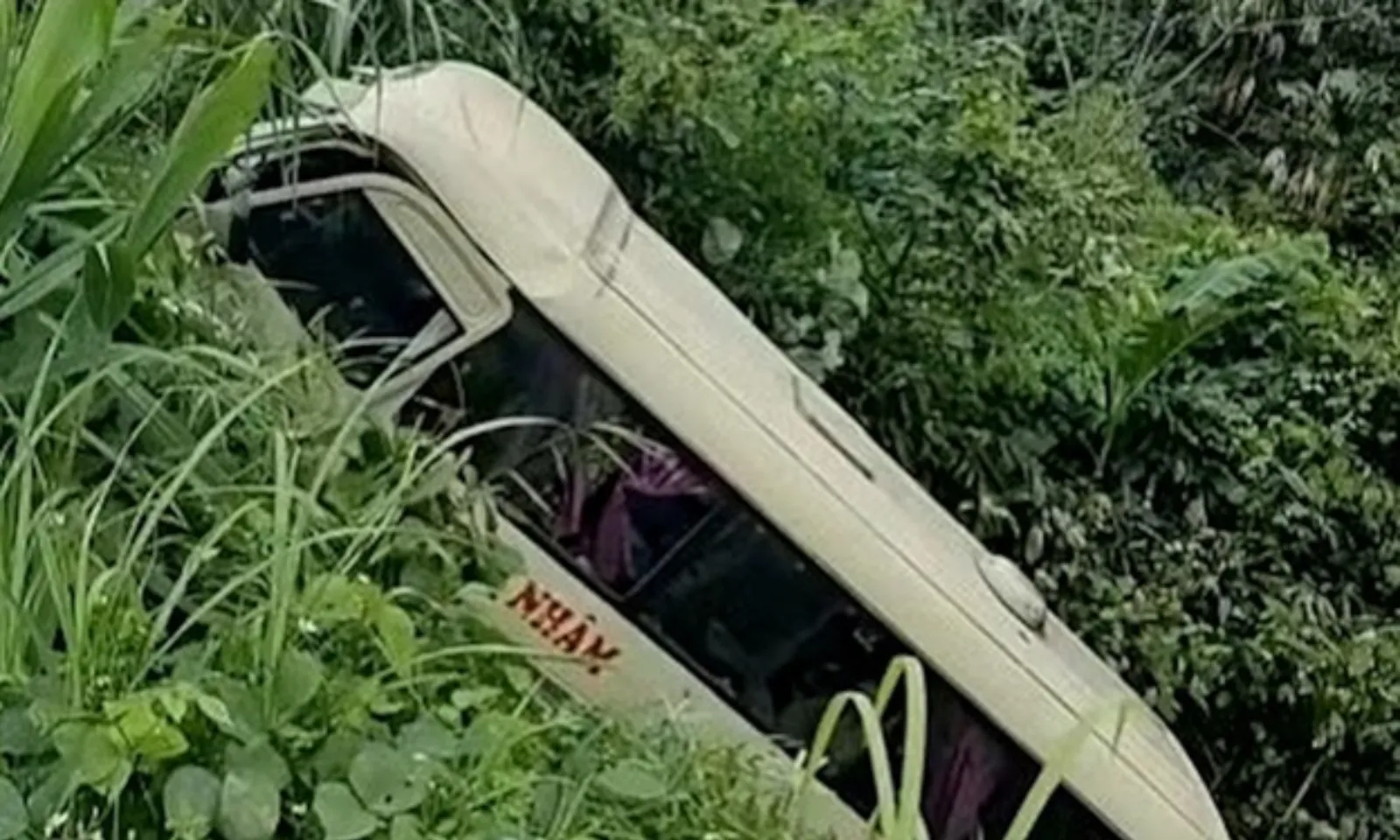 ảnh 3