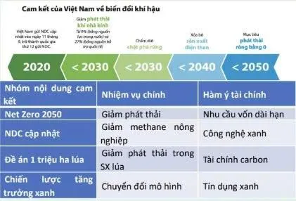  Chuyển đổi sản xuất giảm phát thải để giữ thị trường xuất khẩu
