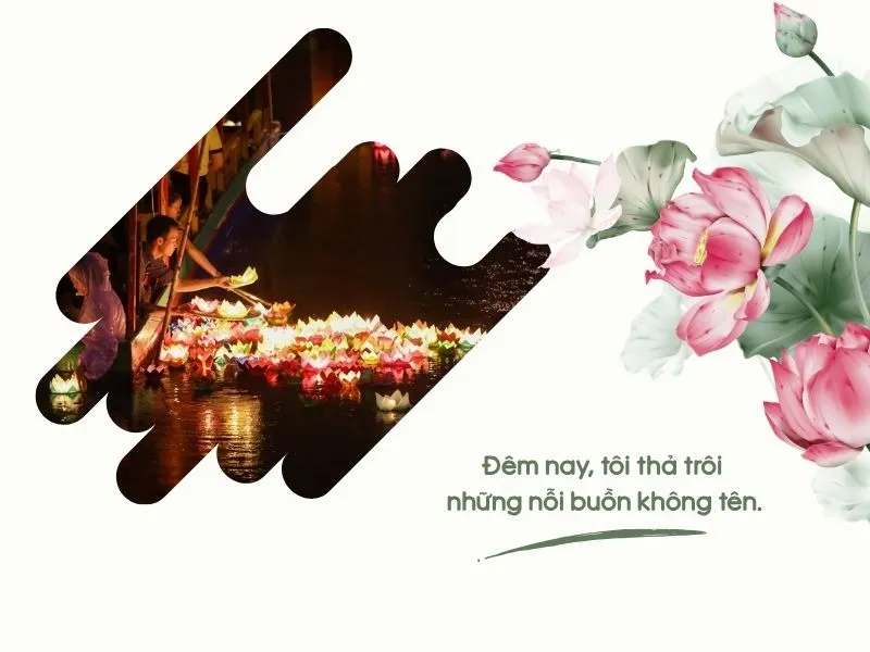 voh-stt-tha-den-hoa-dang-2