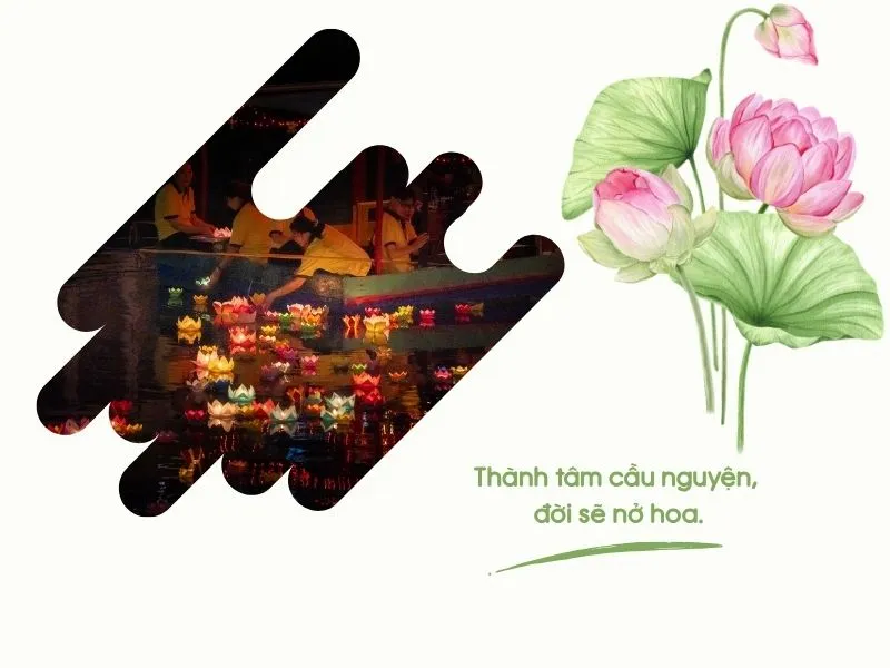 voh-stt-tha-den-hoa-dang-3