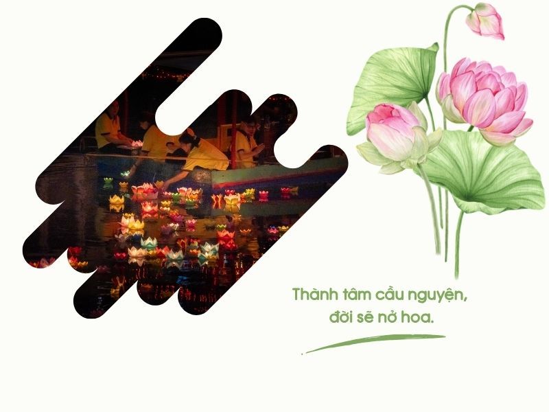 voh-stt-tha-den-hoa-dang-3