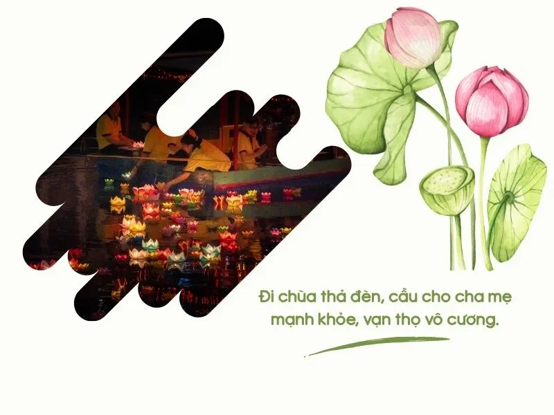 voh-stt-tha-den-hoa-dang-4