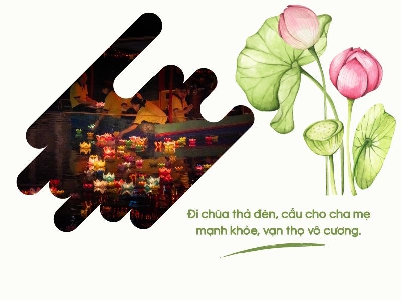 voh-stt-tha-den-hoa-dang-4