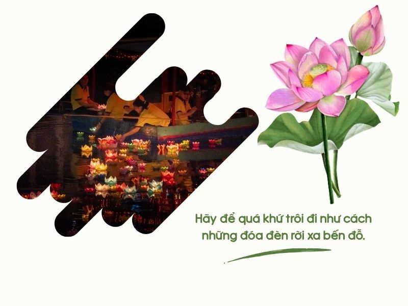 voh-stt-tha-den-hoa-dang-5