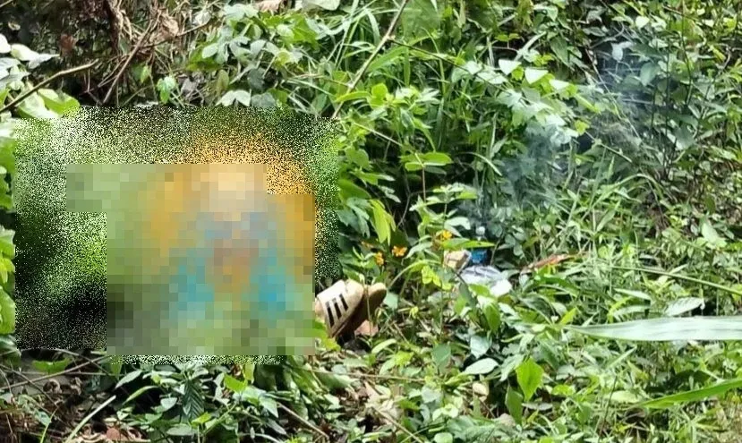 Bi kịch ở đèo Bảo Lộc: Người đàn ông tử vong vì điện giật khi bẫy chim