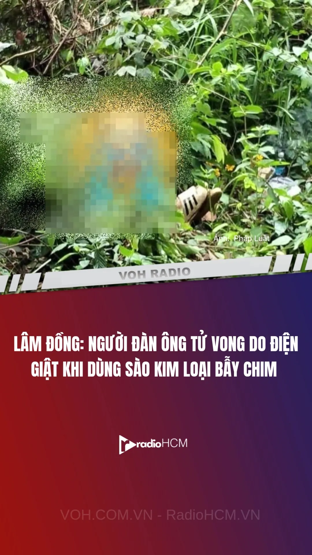 Article thumbnail
