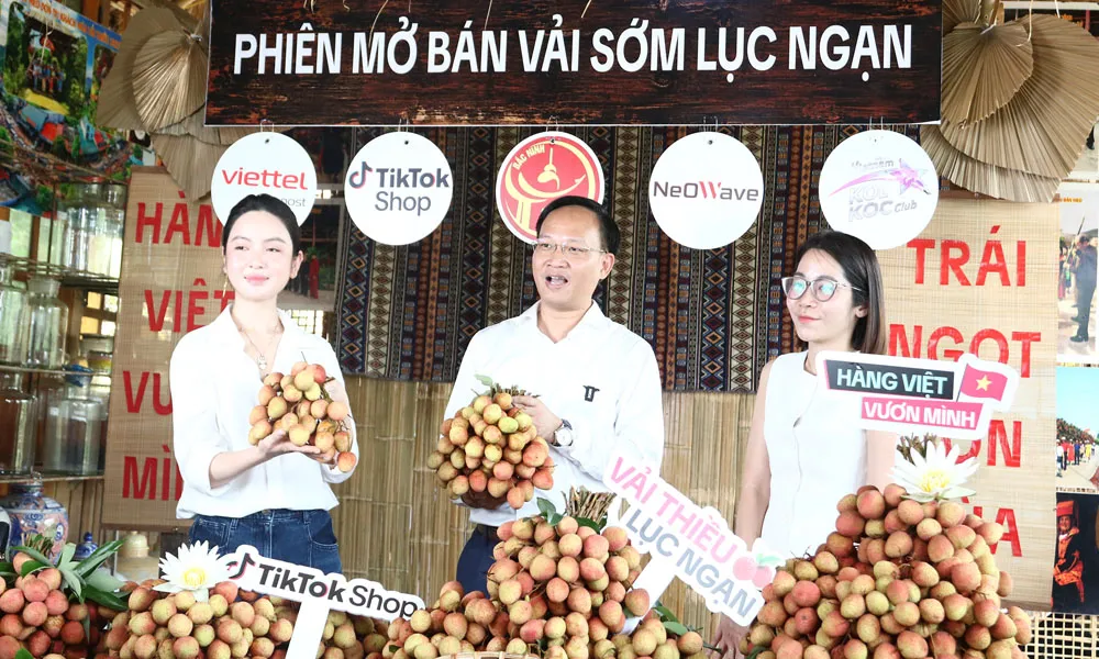 vai-thieu-luc-ngan