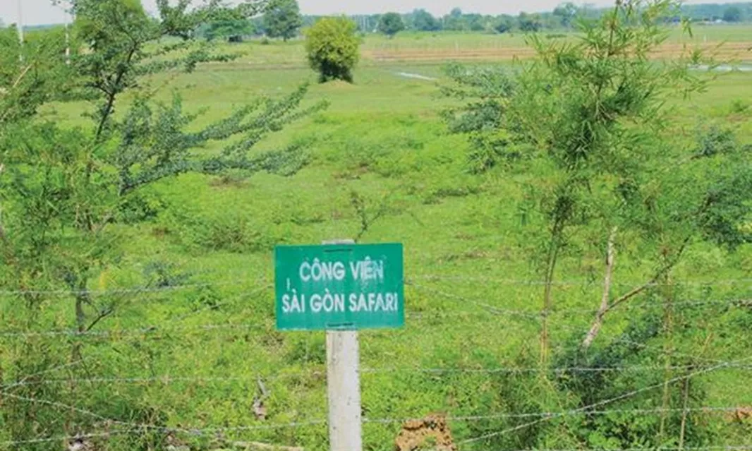 TPHCM tái khởi động siêu dự án Safari
