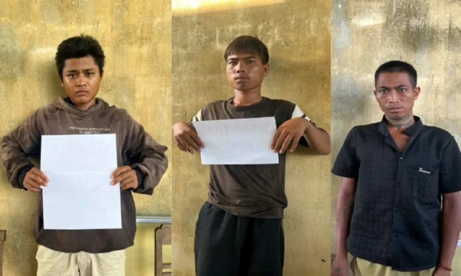 ảnh 6