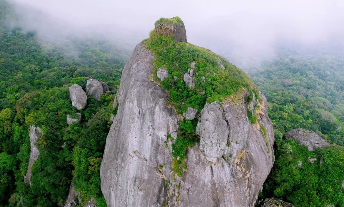 Ảnh chụp màn hình (885)