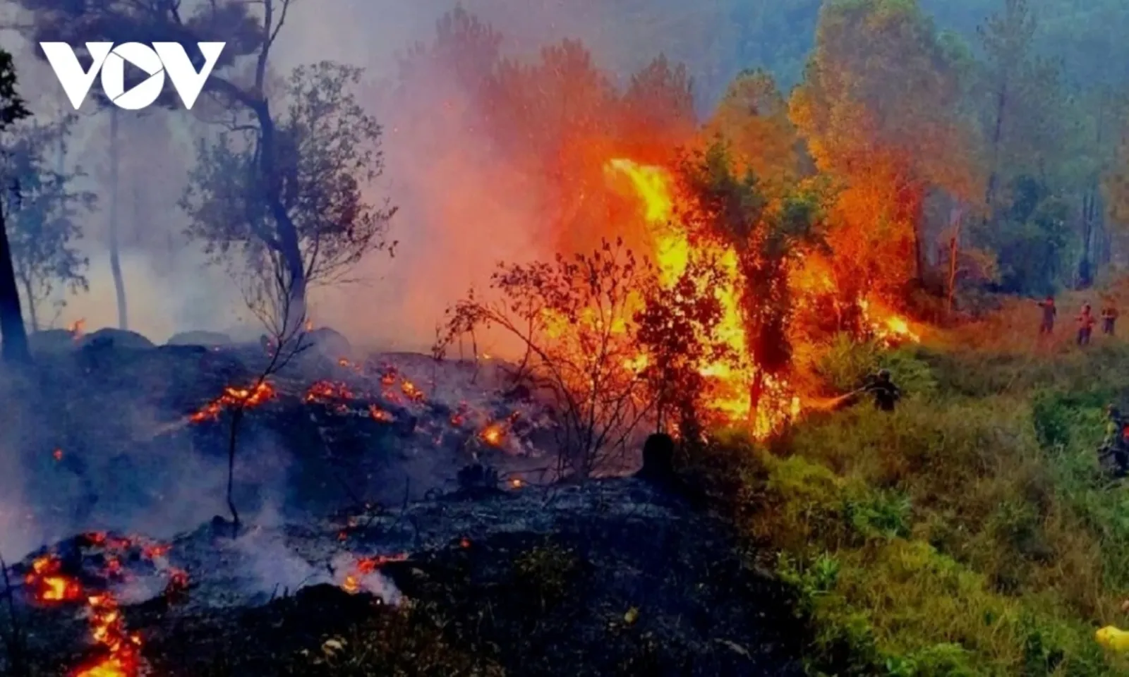 Miền Trung nắng nóng sát 40°C, cảnh báo nguy cơ cháy rừng tăng cao – Hình 1