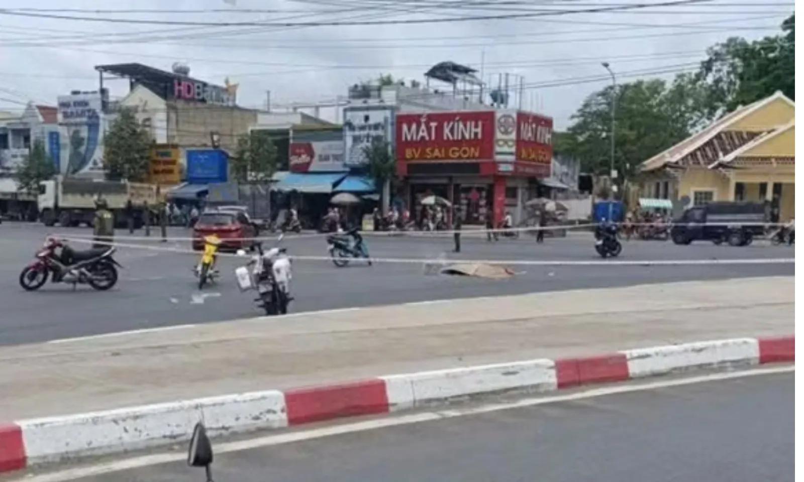 ảnh 5
