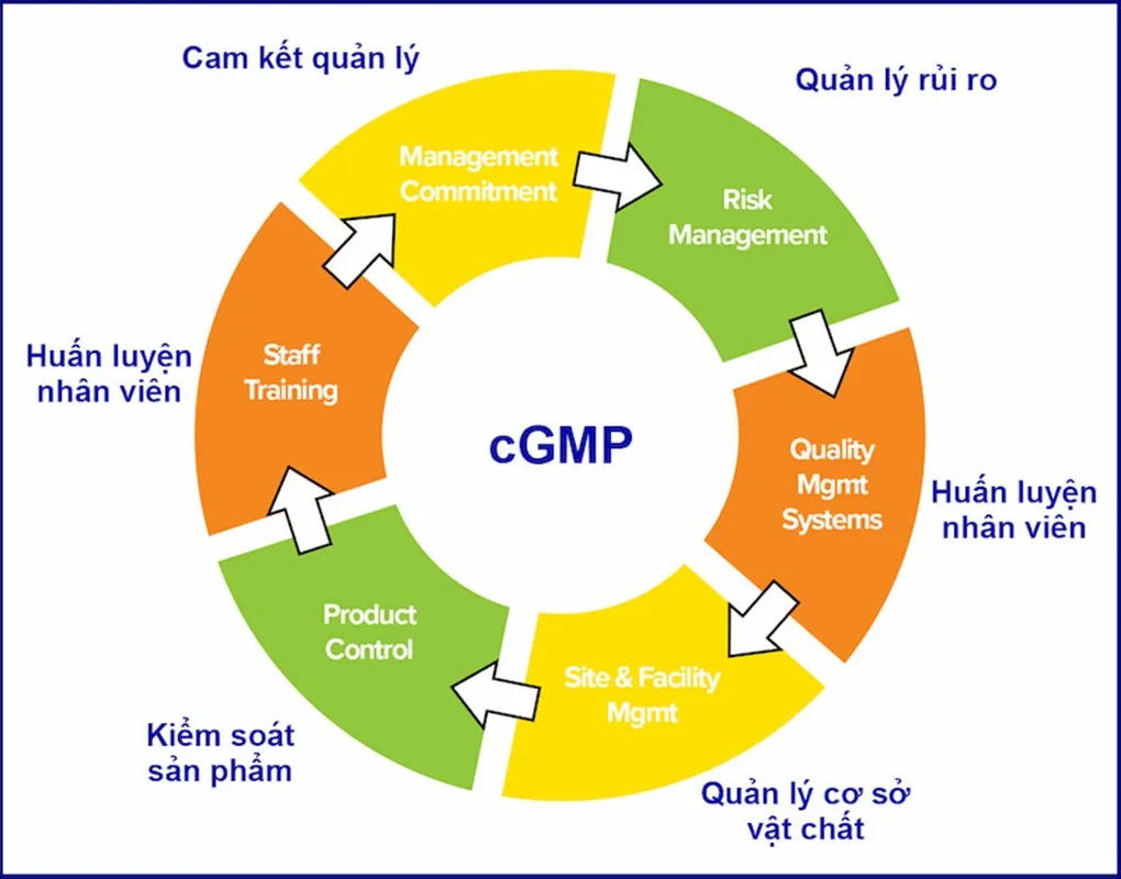 Tiêu chuẩn cGMP trong ngành sản xuất mỹ phẩm