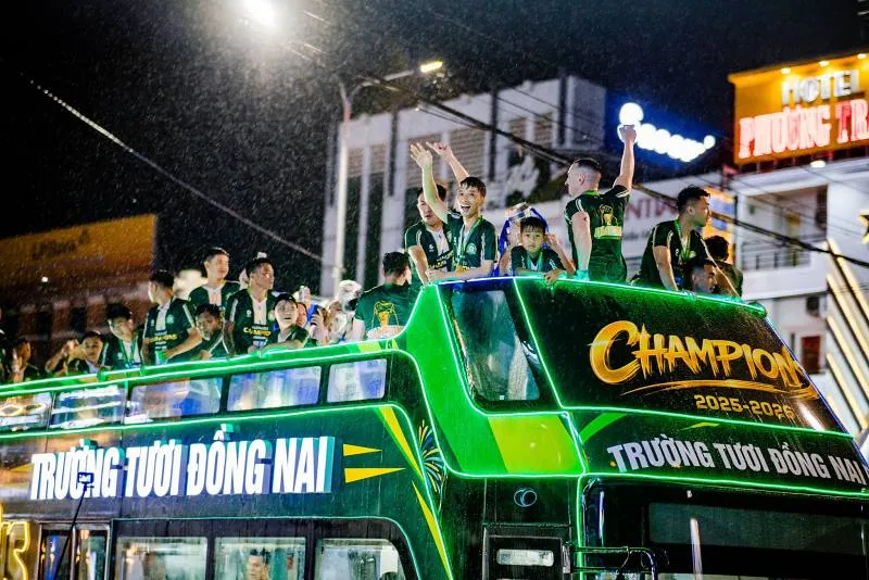 dong-nai-v-league