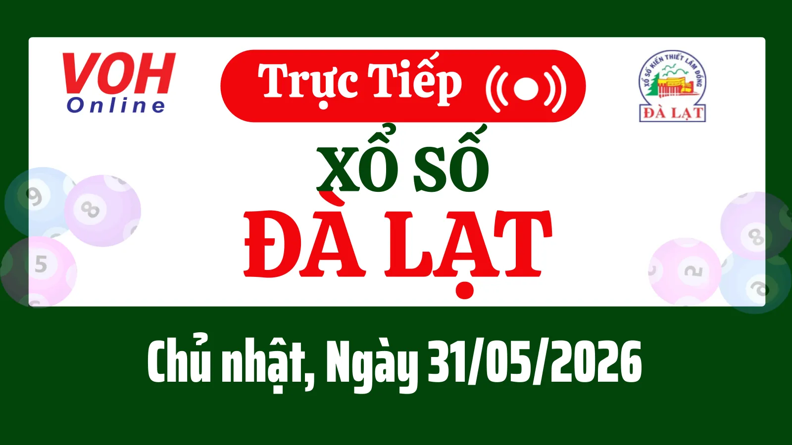 XSDL 31/5 - Kết quả xổ số Đà Lạt hôm nay chủ nhật ngày 31/5/2026