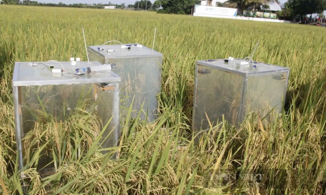 Phát động cuộc thi khởi nghiệp đổi mới sáng tạo nông nghiệp công nghệ cao
