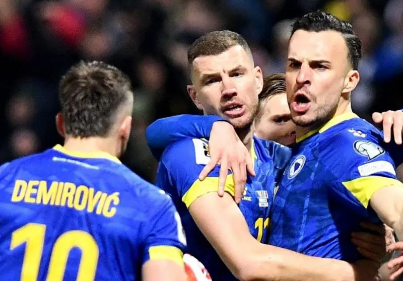 bosnia-herzegovina-world-cup