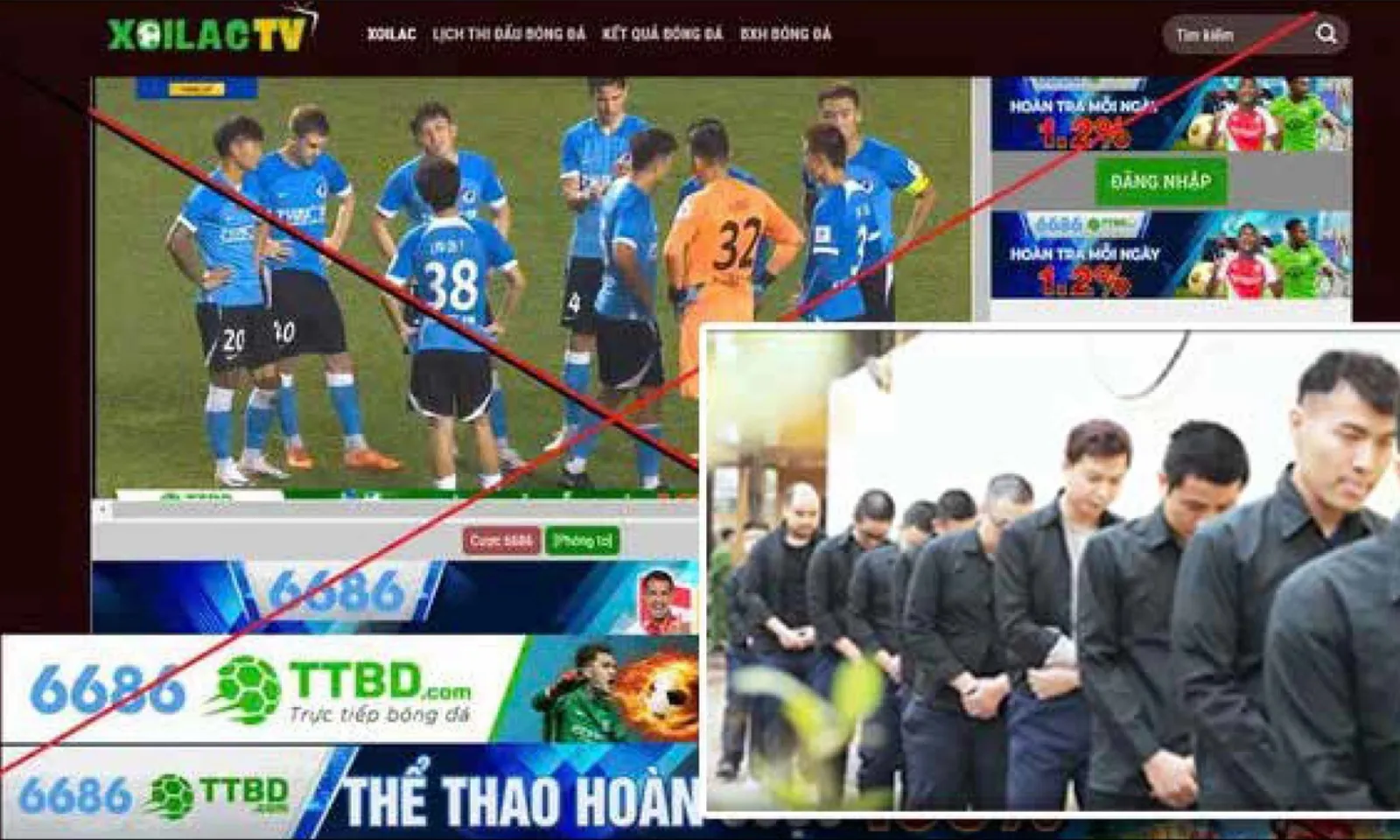 ảnh minh họa + thumb  - 2