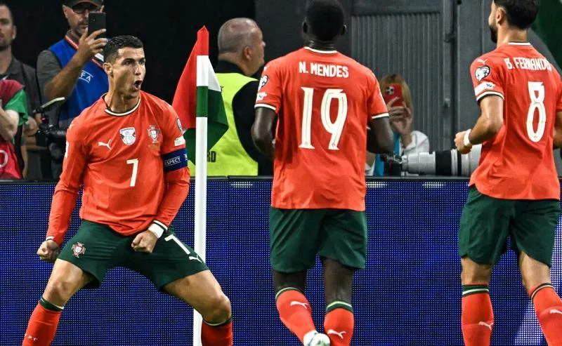 bo-dao-nha-world-cup