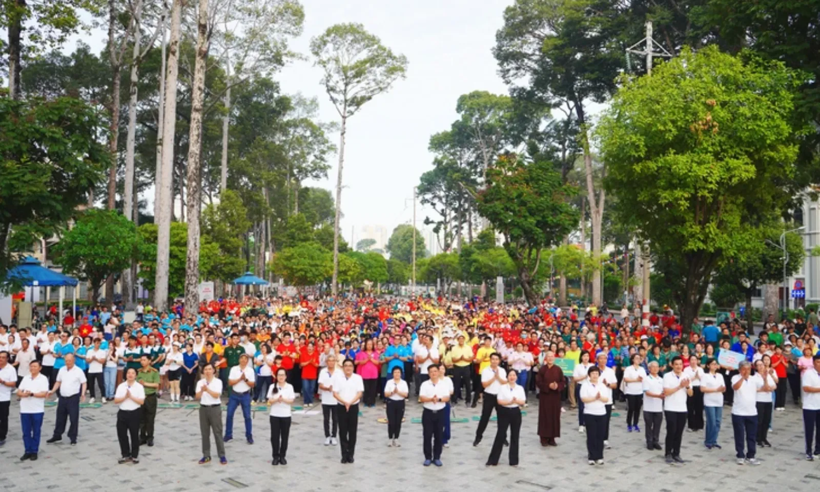 ảnh minh họa + thumb  (1)