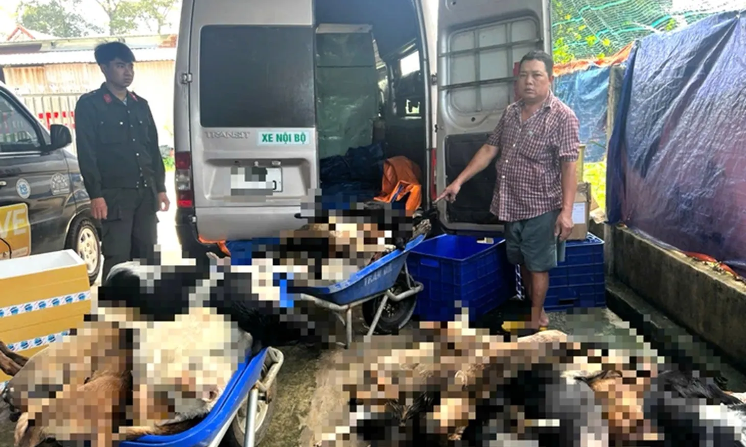 Bắt nhóm chuyên trộm chó đưa về TPHCM tiêu thụ