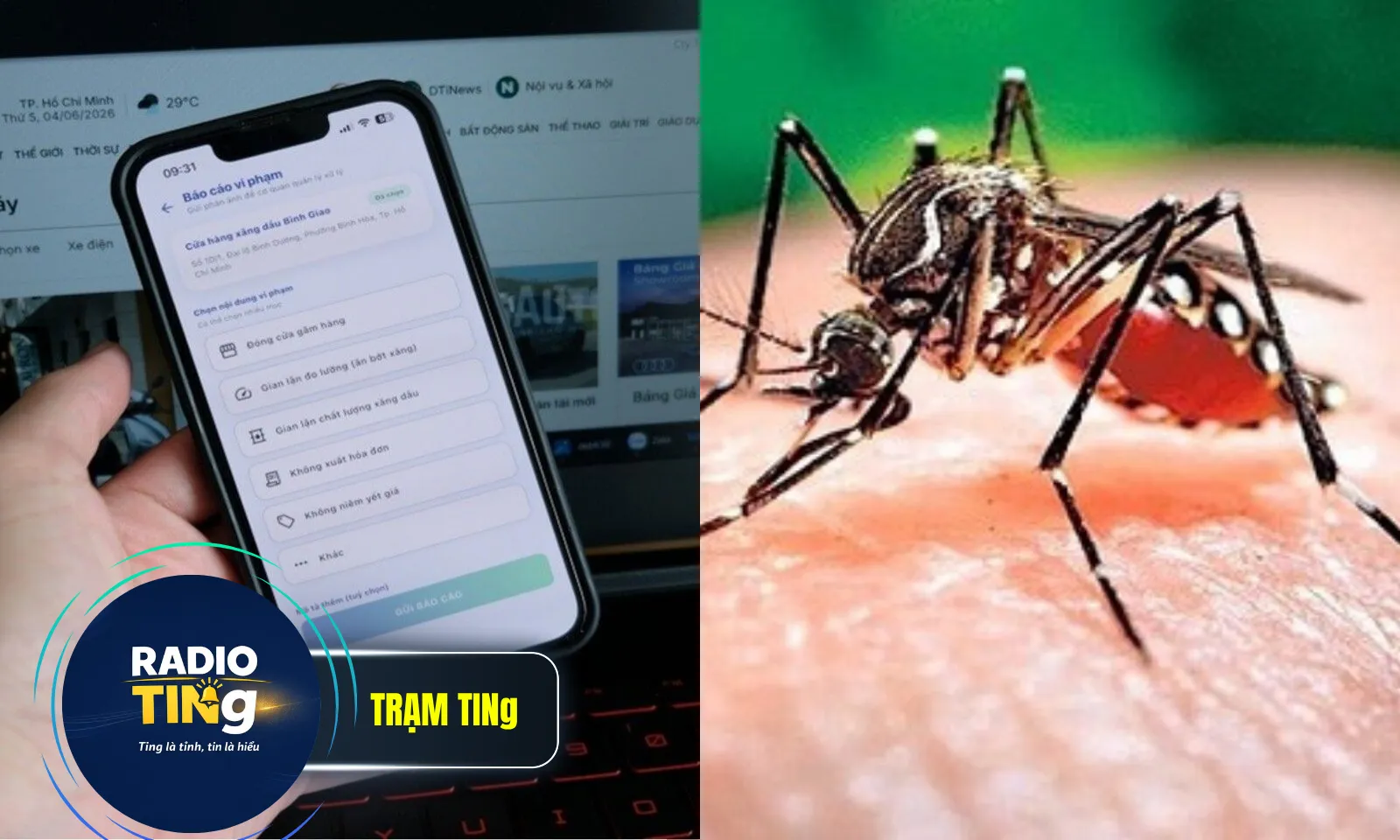 Điểm tin sáng 8/6: App tiếp nhận phản ánh xăng dầu | Cảnh báo 3 sai lầm về sốt xuất huyết 