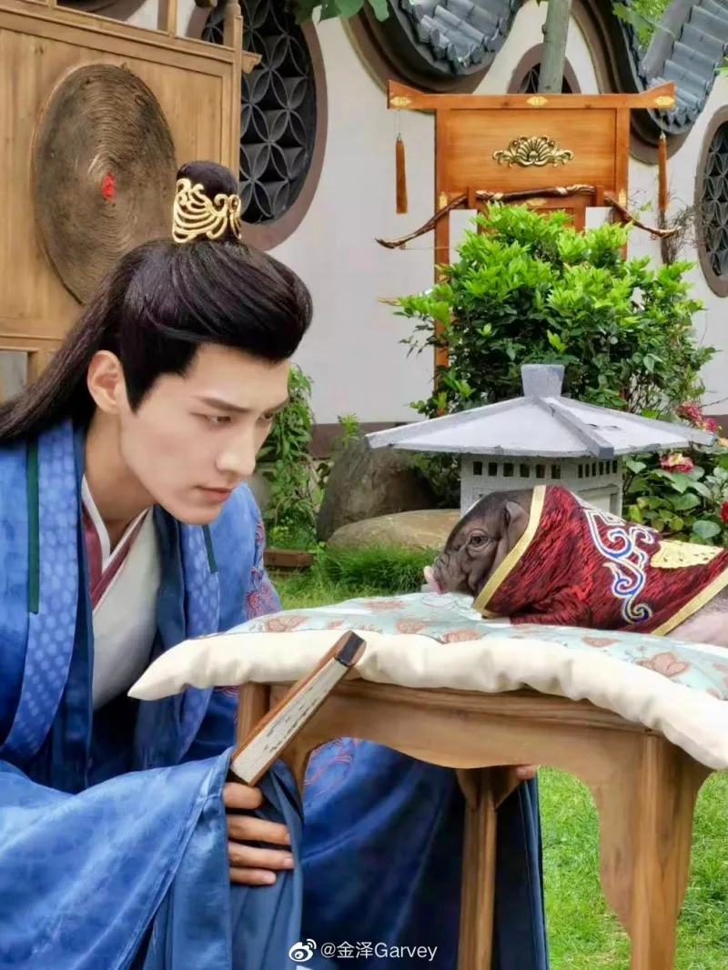 tieu-su-kim-trach-37