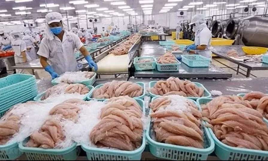 Thực phẩm dễ hư hỏng trong mùa nóng: Tăng cường kiểm tra, giám sát