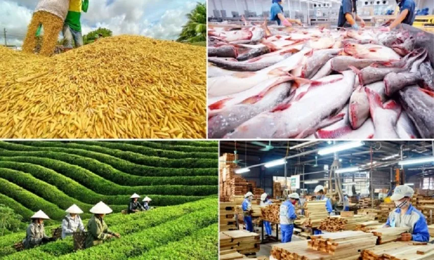 5 tháng đầu năm 2026, xuất khẩu nông lâm thủy sản Việt Nam đạt gần 30 tỷ USD