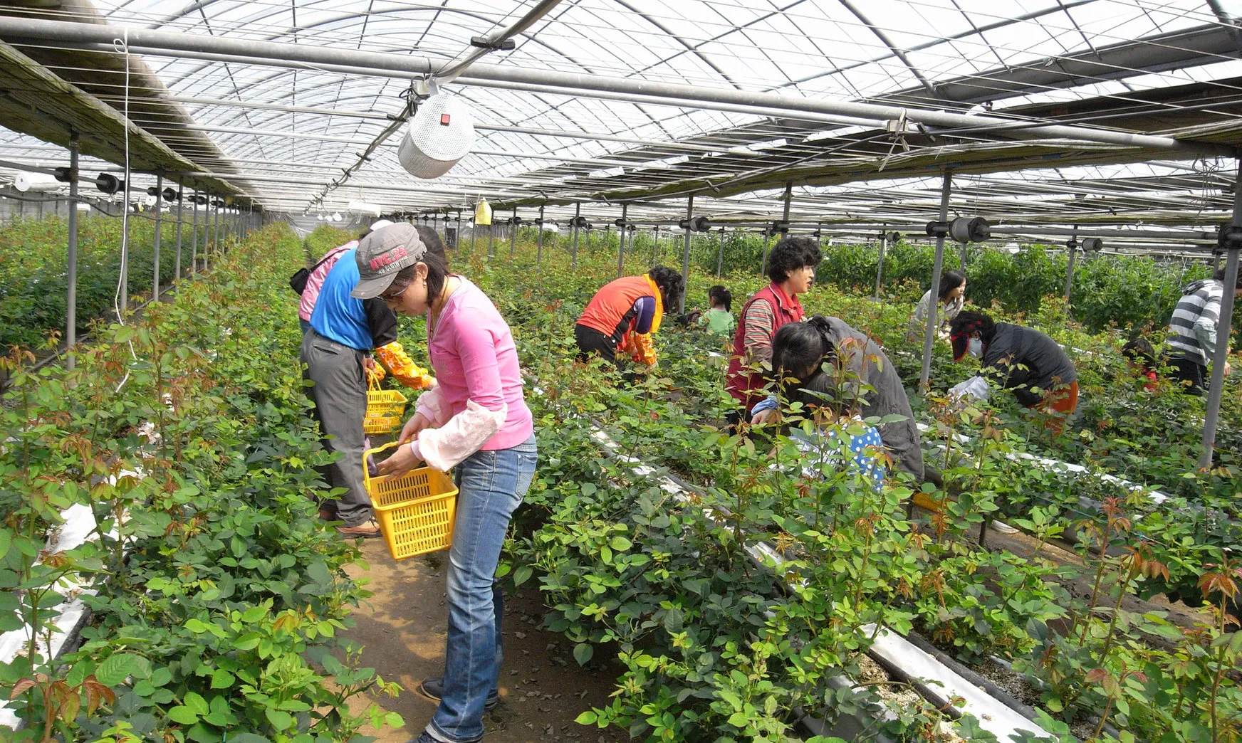 Úc tăng lương tối thiểu gần 6%