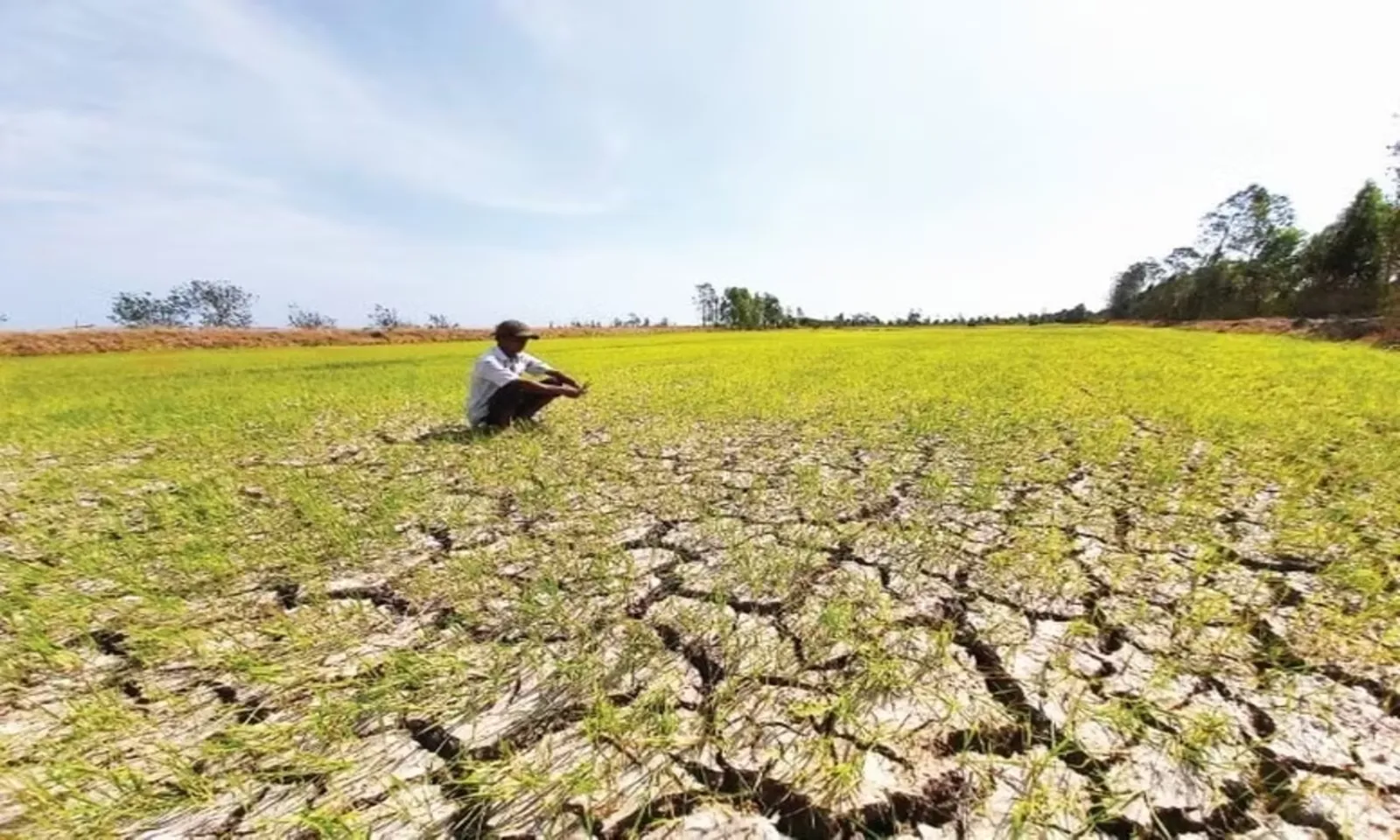 El Nino mạnh dần, cảnh báo nắng nóng và hạn hán diện rộng cuối 2026 – Hình 3