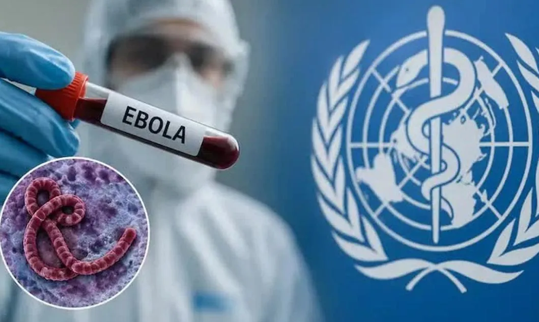 782 ca Ebola ghi nhận, Cộng hòa Dân chủ Congo gấp rút siết chặt phòng dịch